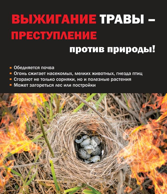 ВЫЖИГАНИЕ ТРАВЫ - ПРЕСТУПЛЕНИЕ